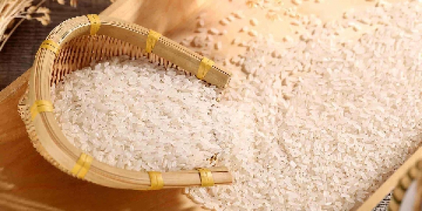预防大米生虫的方法有哪些